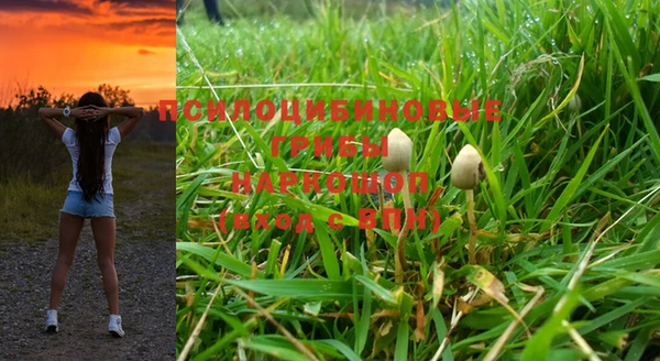 мяу мяу мука Балабаново